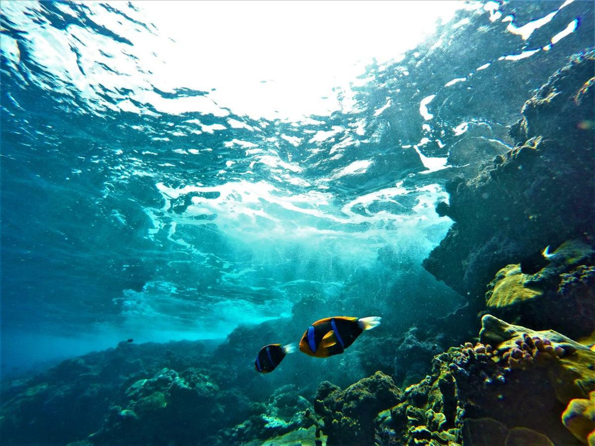 Fatboys Resort Mbambanga Dış mekan fotoğraf